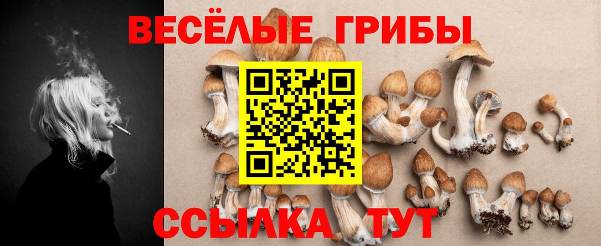 Галлюциногенные грибы Magic Shrooms Краснодар