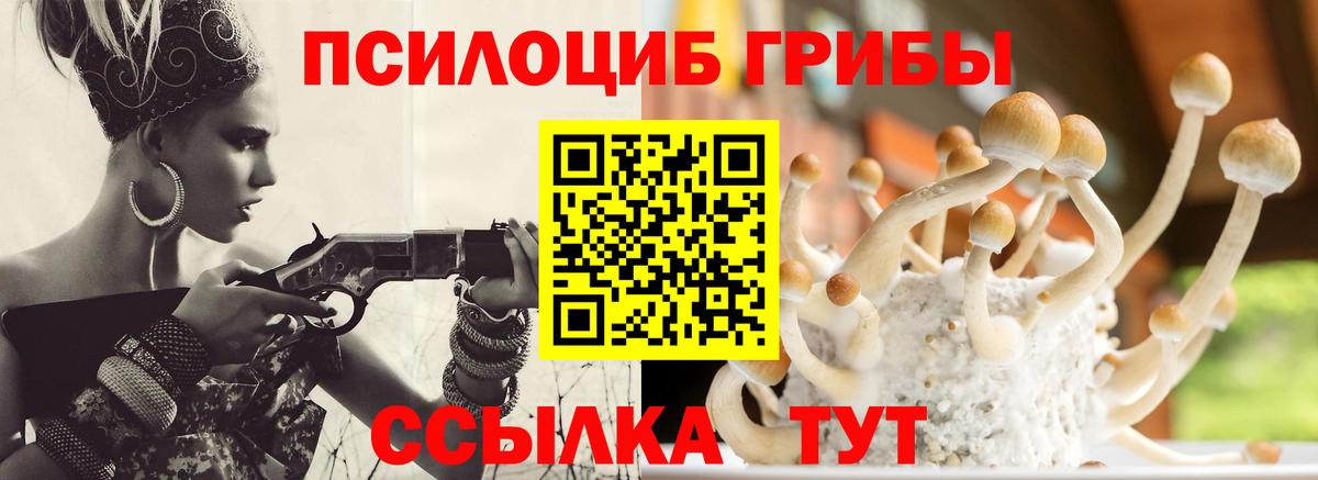 Галлюциногенные грибы мицелий  Вход с VPN  хочу   Краснодар 